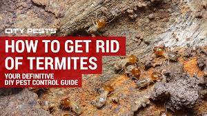 We did not find results for: How To Get Rid Of Termites In 2020 City Pests