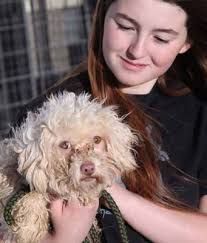 2014 Annual Report 2014 Annual Report