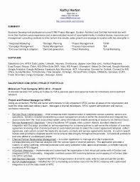 Salesforce Administrator Resume Examples Awesome Salesforce Administrator Certified Resume Indep In 2020 Resume Examples Sales Resume Examples Salesforce Administrator
