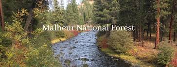 You can be assured that as the circuitries like the groundhog have been used in metal detectors to give you the best chance of finding what really matters even in sample ores which. U S Forest Service Malheur National Forest Posts Facebook