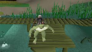 Lizardmen shamans are monsters found in the chambers of xeric, in the lizardmen shaman room. After Patch Osrs Lizardman Shaman Safe Spot Guide No Shayzien Favour Needed Runescape 2007 Youtube