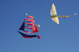 Image result for world kites museum