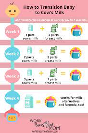 How To Switch Baby To Whole Milk Baby Milk Baby Food Timeline Baby Food Recipes