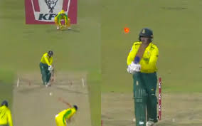 Designed as per specifications of quinton de kock. Mitchell Starc Rattles Quinton De Kock S Stumps With An Incredible Delivery In The First T20i