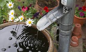So Leicht Lasst Sich Wasser Im Garten Sparen Wasser Im Garten Wasserleitung Garten Regenwasser