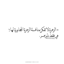 الزهره Words Quotes Life Quotes Postive Quotes
