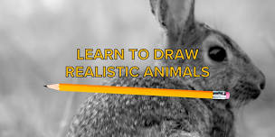 Drawing Animals Class: Rabbit