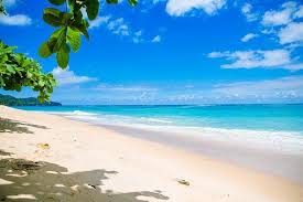 Penulisan latar belakang harus bisa menjawab pertanyaan mengapa (why) dari judul yang diangkat yakni mampu menerangkan secara rinci permasalahan dengan kata yang baik dalam paragraf. Pozadi Beach Krasne Krasa Modra Latar Belakang Pantai Pemandangan
