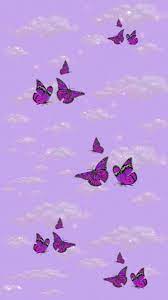 In questo articolo volonta condividi collezione molti immagine opzioni preoccupazioni cipria porpora e lilla sfondi per iphone sfondi viola quella puo il tuo amato intelligente ottieni, soprattutto amico questo web fedele. Wallpaper Purple Butterfly Wallpaper Butterfly Wallpaper Butterfly Wallpaper Iphone