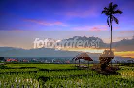 By admin thursday, may 27, 2021 Gubuk Di Sawah