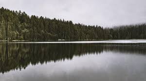 Mr. Mark Anthony Paschal