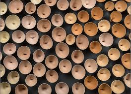 Bildergebnis für Eve Ariza