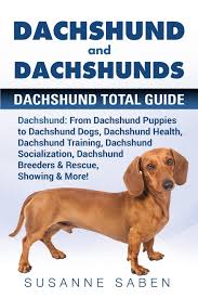 dachshund and dachshunds dachshund total guide dachshund