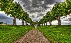 3d Nature Wallpapers Top Free 3d Nature Backgrounds Wallpaperaccess