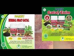 Ini Dia Cara Mengatasi Biduran Tanpa Obat Obat Alami Jamur Obat Jerawat