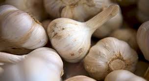 Maybe you would like to learn more about one of these? What To Grow In The Vegetable Garden In September