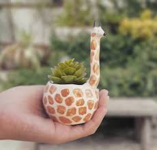 Handmade Ceramic Succulent Pot El Yapimi Sukulent Saksi Sukulent Saksi Seramik
