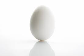 What is the protein in an egg? Eggs Health Benefits Nutrition Facts Live Science