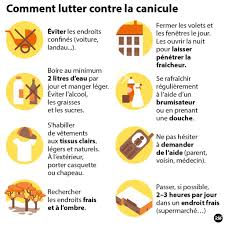 Fatigue, jambes lourdes, vertiges… pour les femmes enceintes, le retour de la chaleur n'est pas forcément une partie de plaisir. La Chaleur De L Ete Nous Fait Consommer 2 000 Mw D Electricite En Plus