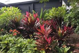 Gold coast landscapes are experts in the landscape construction industry. Transforming Gardens Gold Coast Landscape Garden Design