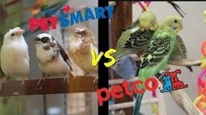 When you adopt or purchase, be sure to ask for your feathered friend's medical history. Petsmart Vs Petco Who Has Better Bird Care Youtube
