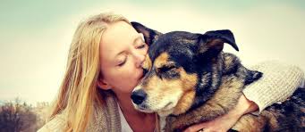 Smart pet products, services, and supplies for healthier, happier pets. Pet Cat Dog Food Experts In Sarasota At Marlin S Raw Superfood For Pets