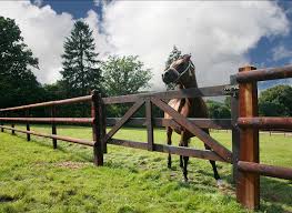Portail En Bois De Qualite Specialement Amenage Dans Une Prairie Pour Chevaux Paard Hek Paardenhekken Paardenstallen