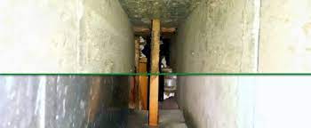 Topsearch.co updates its results daily to help you find what you are looking for. Green Clean Air Duct Cleaning Slider 7 Green Clean Carpet Cleaning
