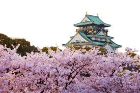 Osaka castle and tourist people with cherry blossoms of spring in japan. 2018 Japan Osaka Cherry Blossom Forecast And Best Viewing Spots Triplisher Stories