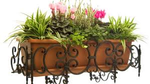 Decorar con plantas colgantes es una manera ideal de conseguir traer un poco del exterior al interior de nuestra vivienda sin ocupar demasiado espacio. Flores Y Plantas Otonales Para El Balcon Decogarden