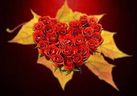 More images for ورد مشكل على شكل قلوب » ÙˆØ±Ø¯ Ù…Ø´ÙƒÙ„ Ø¹Ù„Ù‰ Ø´ÙƒÙ„ Ù‚Ù„ÙˆØ¨ O Ou U O U UË†o C UË†o O O U U Oo U F ÙˆØ±Ø¯ Ø¹Ù„Ù‰ Ø´ÙƒÙ„ Ù‚Ù„Ø¨ Ø§Ø¬Ù…Ù„ ÙˆØ±ÙˆØ¯ Ù…Ø´ÙƒÙ„Ø© Ø¹Ù„Ù‰ ØµÙˆØ±Ø© Ù‚Ù„Ø¨ Talia Greve