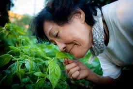 Smiling Hogshead Ranch (photos by Murray Cox)