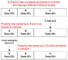 Types Of Ownership