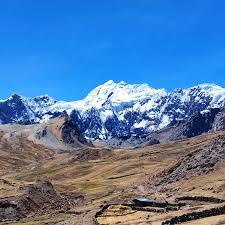 Image result for Blue Inca 2008 147
