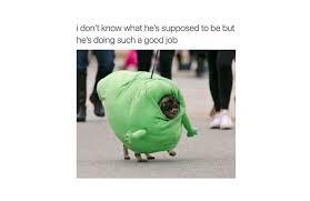 50 wholesome memes ranked in order of popularity and relevancy. Wholesome Memes Sharing Love And Sincerity Online
