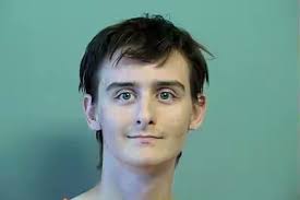 Teenager Admits Massacring Parents, Three Siblings At Family Home