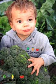For some crops, you'll want to schedule your fall harvest before the first frost arrives. Autumn Planting Guide For Melbourne Leaf Root Fruit Gardening Services