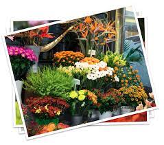 Expert recommended top 3 florists in topeka, kansas. University Flowers Florist Topeka Ks