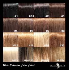 Brown Hair Color Chart Find Your Perfect Hair Style