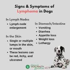There are different shades of difficult. but one of the darkest shades is anticipating the loss of a beloved dog and witnessing the signs your dog is. Pin On Dog Lovers Hub