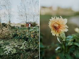 Maybe you would like to learn more about one of these? For The Love Of Flowers Danish Island Weddings