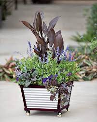 We did not find results for: Self Watering Pots To Keep Plants Hydrated While You Re Away Sunset Sunset Magazine