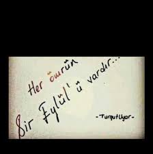 Her Eylulun Bir De 14 U Vardir Ki Omur Gibi Guzel Soz Kelebekler