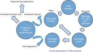 Image result for Beta Blocker Overdose