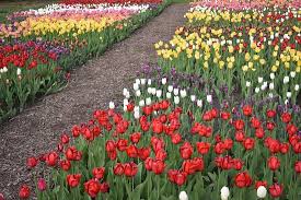 To 5 p.m., and sunday from 12 p.m. Beautiful Garden Review Of Mccrory Gardens Brookings Sd Tripadvisor