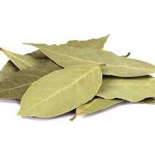 Daun bay sering digunakan dalam keadaan kering maupun segar. Dried Bay Leaf Bay Leaves 20g æœˆæ¡‚å¶ é¦™å¶ Daun Salam Food Grade Herbs Spices Ready Stock Shopee Malaysia