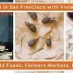 Tea, Foraging, Pasta & Friendship: San Francisco event image