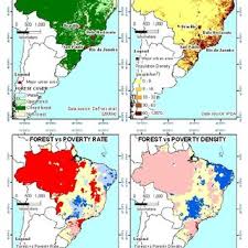 Image result for Phyllanthus pseudocarunculatus