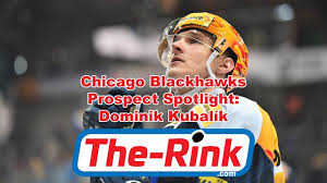 Dominik kubalik contract, cap hit, salary cap, lifetime earnings, aav, advanced stats and nhl transaction history. The Rink The Rink S Blackhawks Prospect Pyramid Blood Sweat And Tiers Part Four