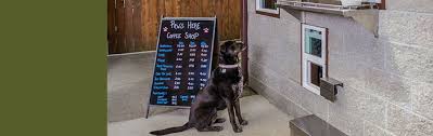 Paradise pet resort santa rosa. Paradise Pet Lodge